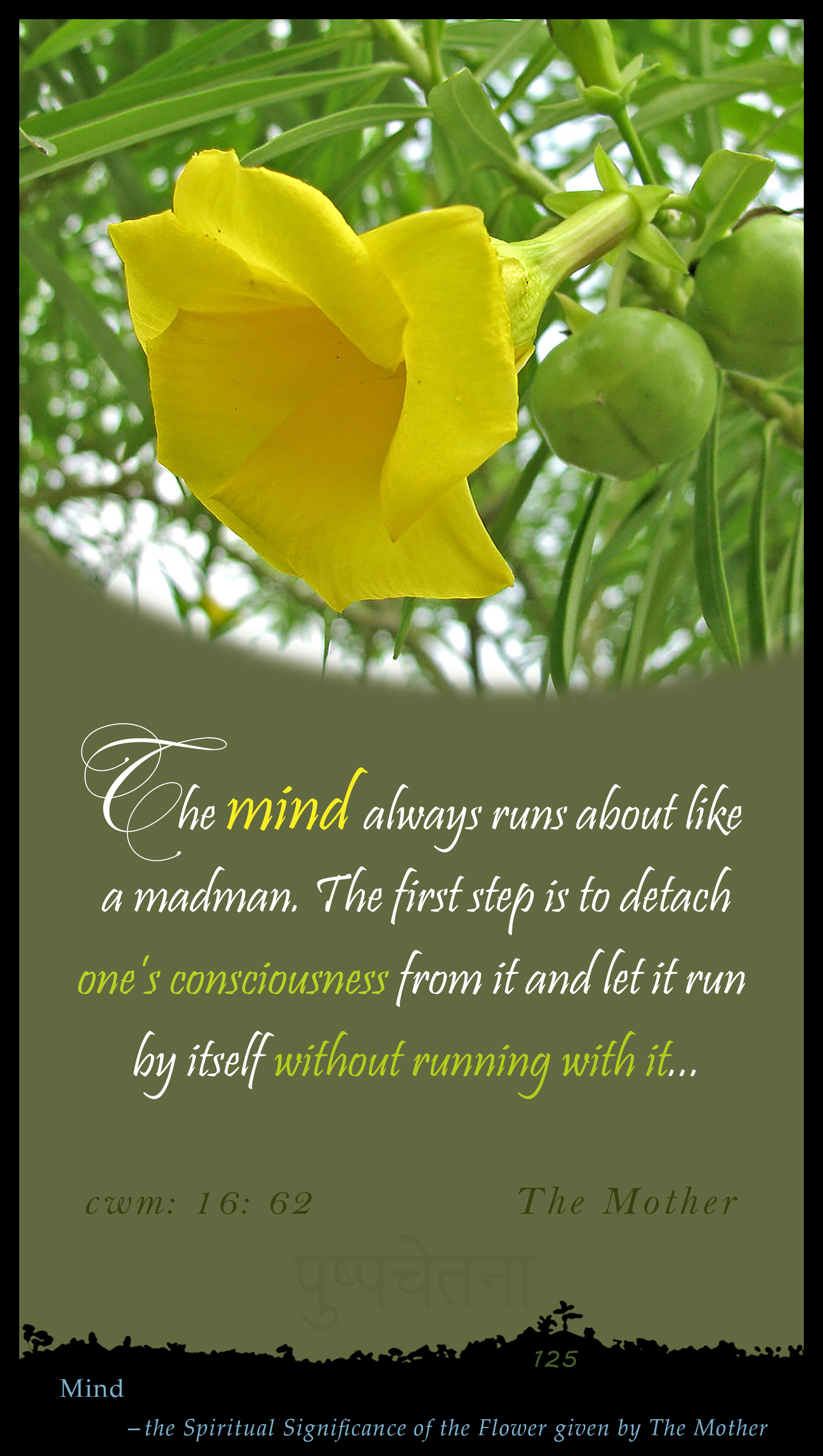 Mind